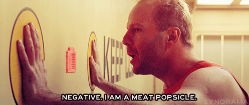 fifth element meat popsicle